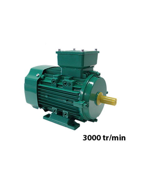 Drehstrommotor 220/380V 3000 U/min