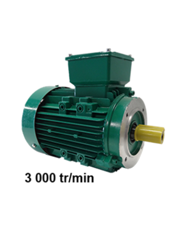 Drehstrommotor 220/380V B14 3000 U/min
