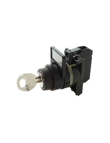 Schlüsselschalter komplett