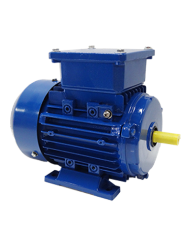 220V-Wechselstrom-Motor, 2 Kondensatoren. B3