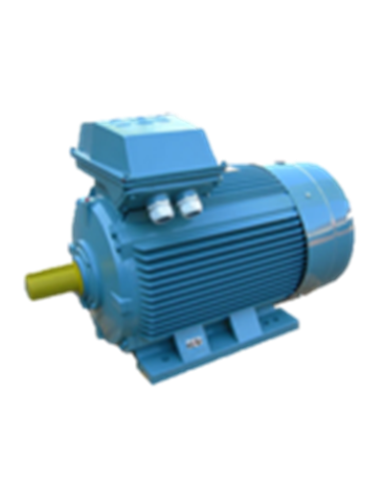 Asynchroner Elektromotor 3000 U/min B3
