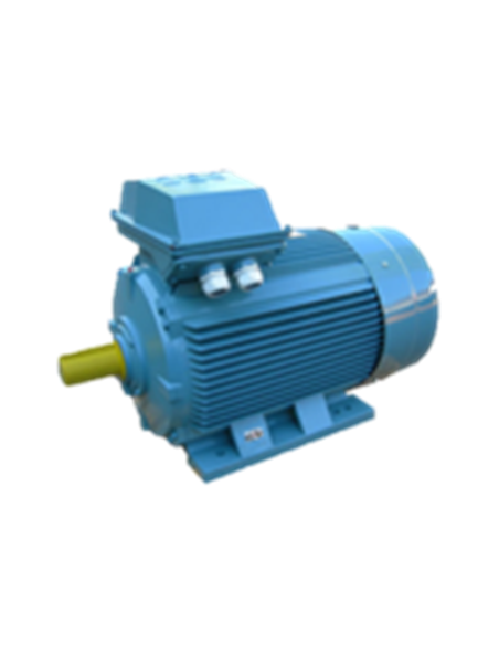 Asynchroner Elektromotor 3000 U/min B3