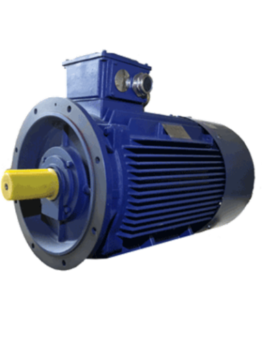 Asynchroner Elektromotor 3000 U/min B5