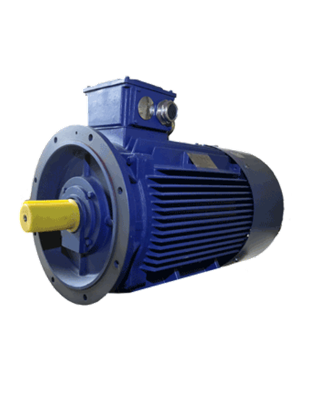 Asynchroner Elektromotor 3000 U/min B5