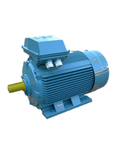 Asynchroner Elektromotor 1000 U/min B3