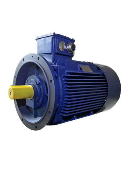 Asynchroner Elektromotor 1000 U/min B5