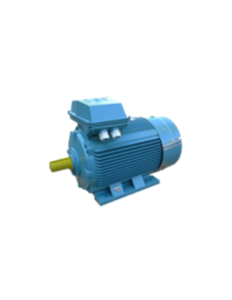 Asynchronmotor  3000 U-min B3