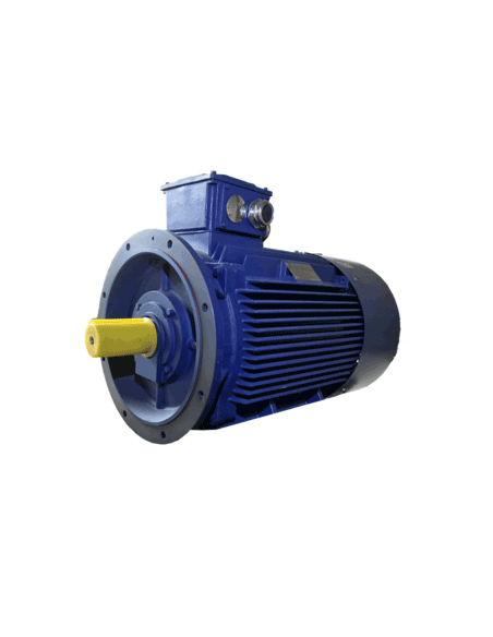 Asynchronmotor 3000 U-min B3