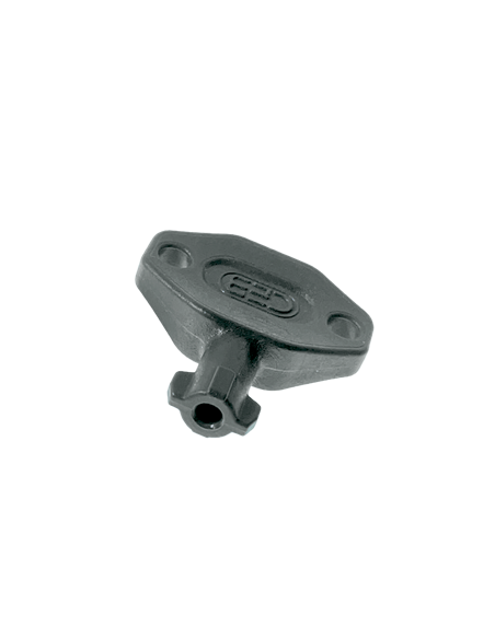 Schlüssel für Edelstahl- oder  Metallschaltschrank QS QS_CLE