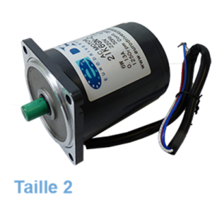 Kompakter Elektromotor ZD Typ 2 Leistung 6 W | EASI-Spare