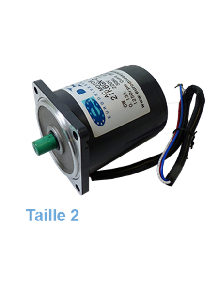 Kompakter Elektromotor ZD Typ 2 Leistung 6 W | EASI-Spare