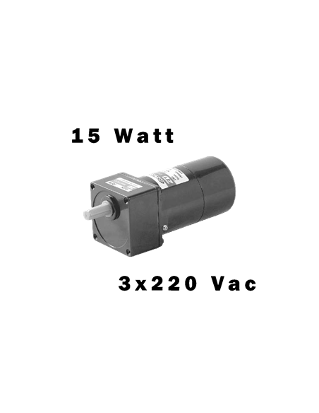 15W-Getriebemotor mit Bremse | EASI-Spare