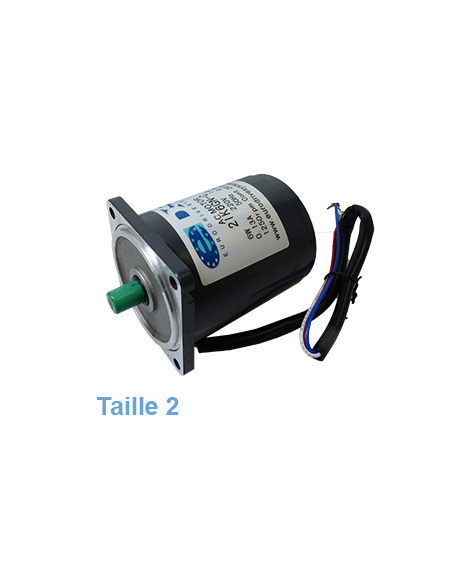 Kompakter Elektromotor ZD Typ 2 Leistung 6 W | EASI-Spare