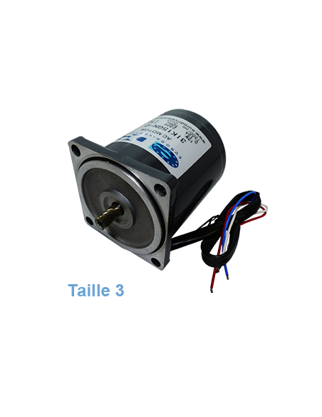 Kompakter Elektromotor ZD Typ 3 Leistung 15-25W | EASI-Spare